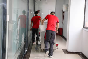 �Ͼ���ҹ�˾